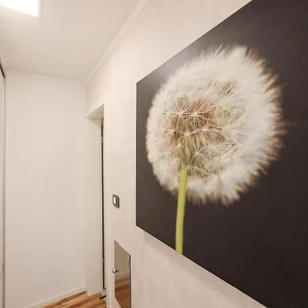 Apartment Anita
